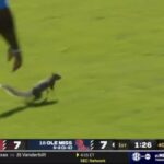 A squirrel on the field during the Ole Miss-Oklahoma game.